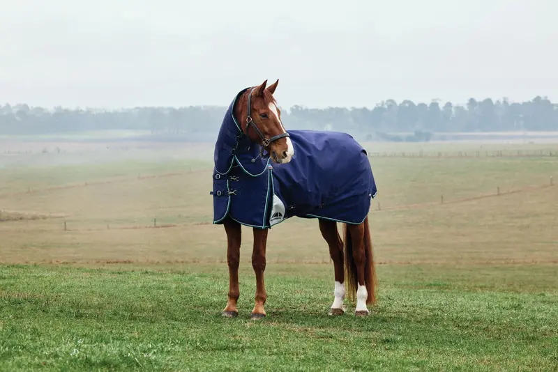 Weatherbeeta Comfitec Plus Dynamic Turnout Detach-A-Neck 360G 2