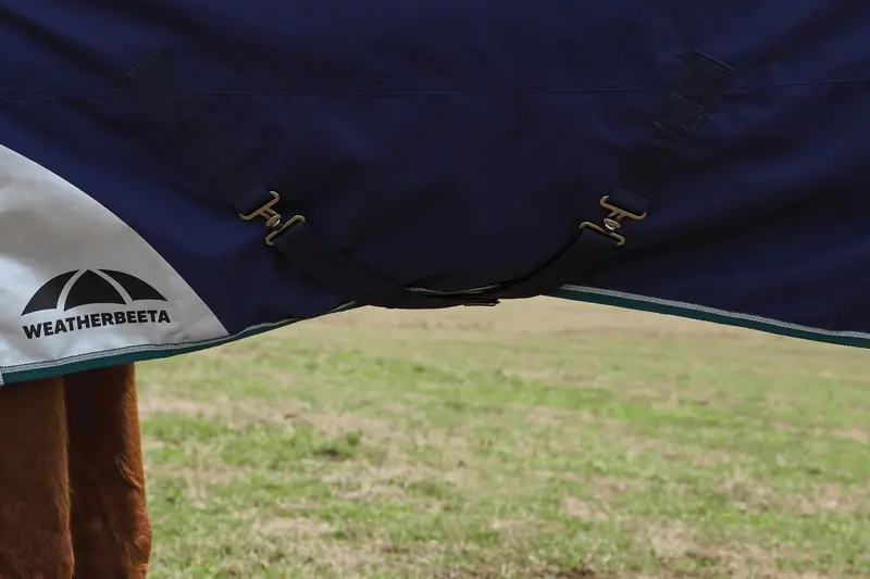 Weatherbeeta Comfitec Plus Dynamic Turnout Detach-A-Neck 360G 4