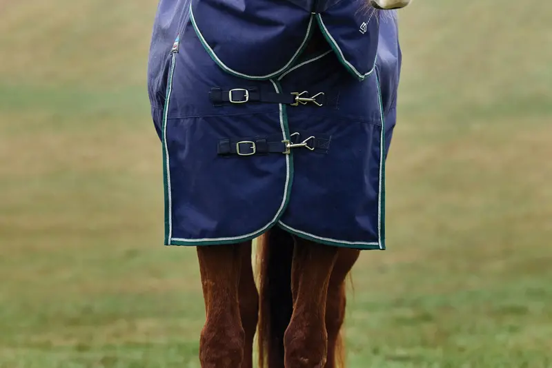 Weatherbeeta Comfitec Plus Dynamic Turnout Detach-A-Neck 360G 5