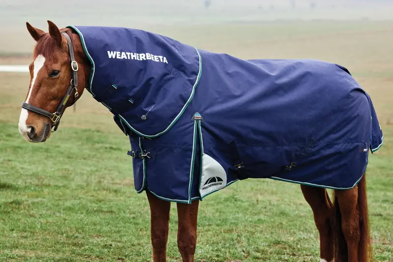 Weatherbeeta Comfitec Plus Dynamic Turnout Detach-A-Neck 360G 6