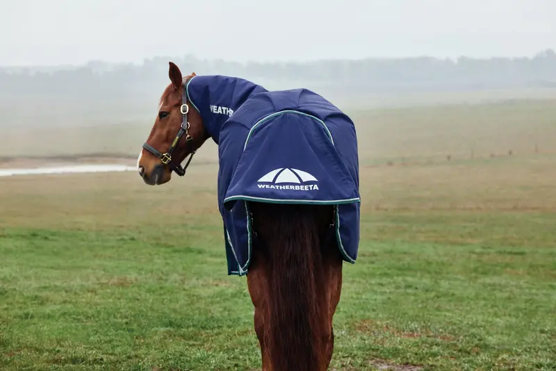 Weatherbeeta Comfitec Plus Dynamic Turnout Detach-A-Neck 360G 7