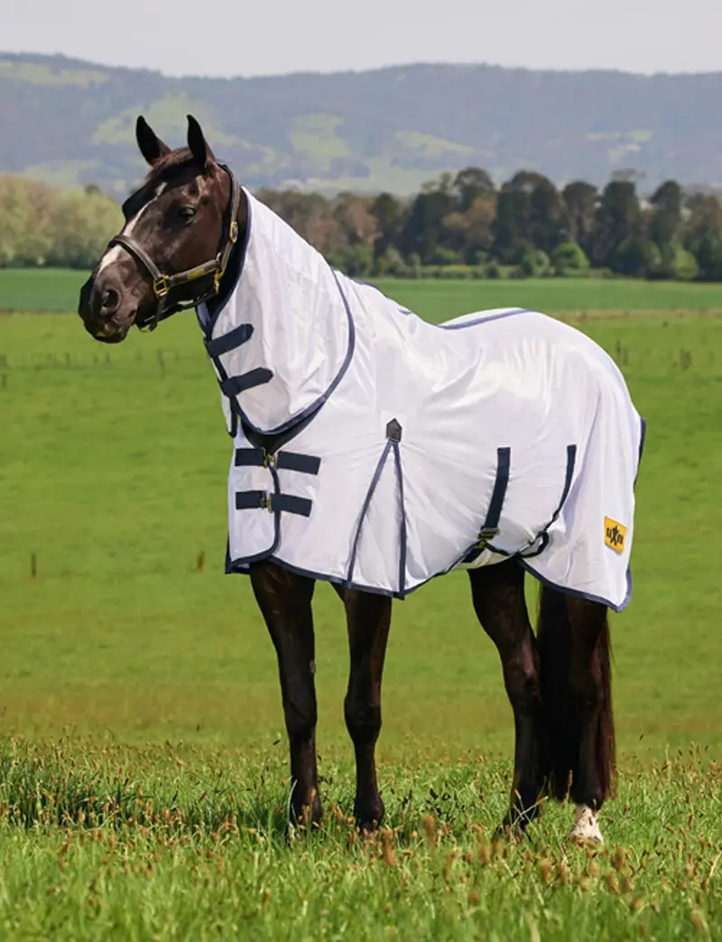 Weatherbeeta Saxon  Mesh With Belly Wrap Fly Sheet Combo 1