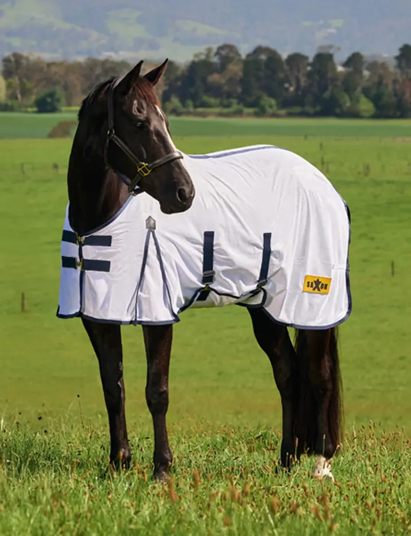 Weatherbeeta Saxon Mesh With Belly Wrap Fly Sheet Combo 2