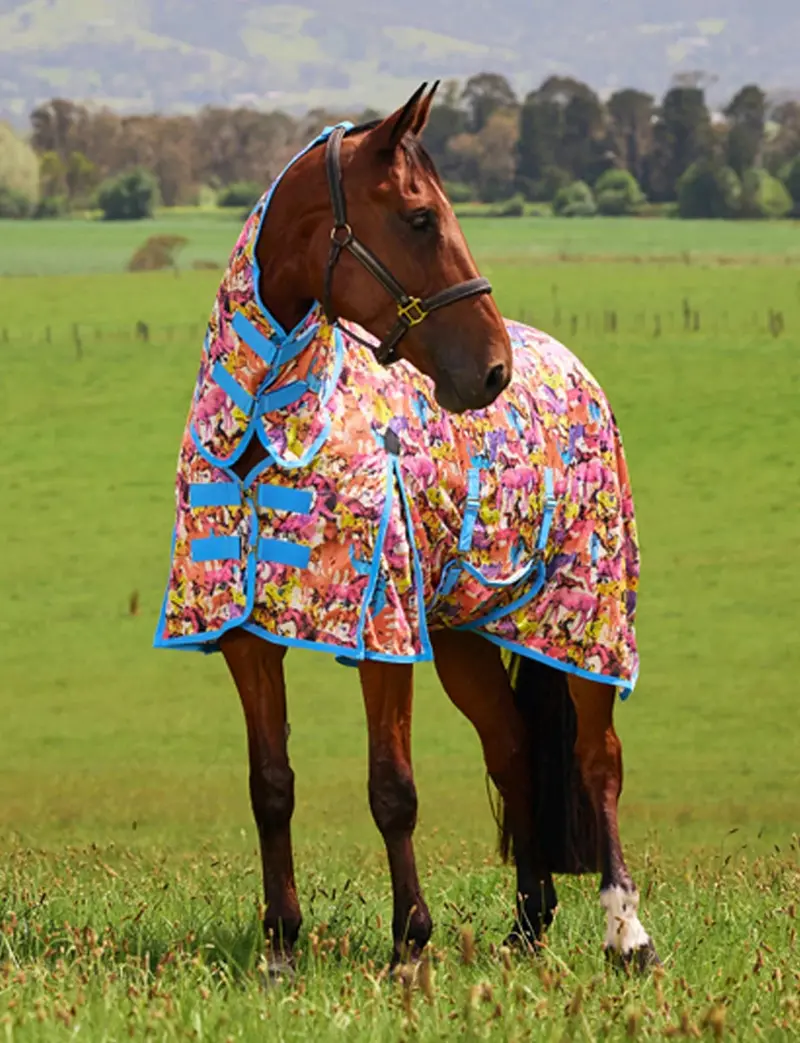 Weatherbeeta Saxon Mesh With Belly Wrap Fly Sheet Combo 6