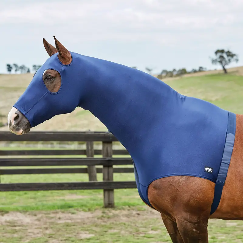 Weatherbeeta Stretch Hood With Zip 1