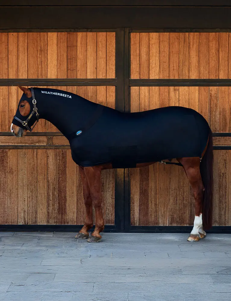 Weatherbeeta Stretch Rug 1