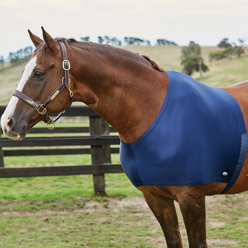 Weatherbeeta Stretch Shoulder Guard 1
