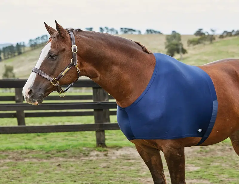 Weatherbeeta Stretch Shoulder Guard for Performance Horses