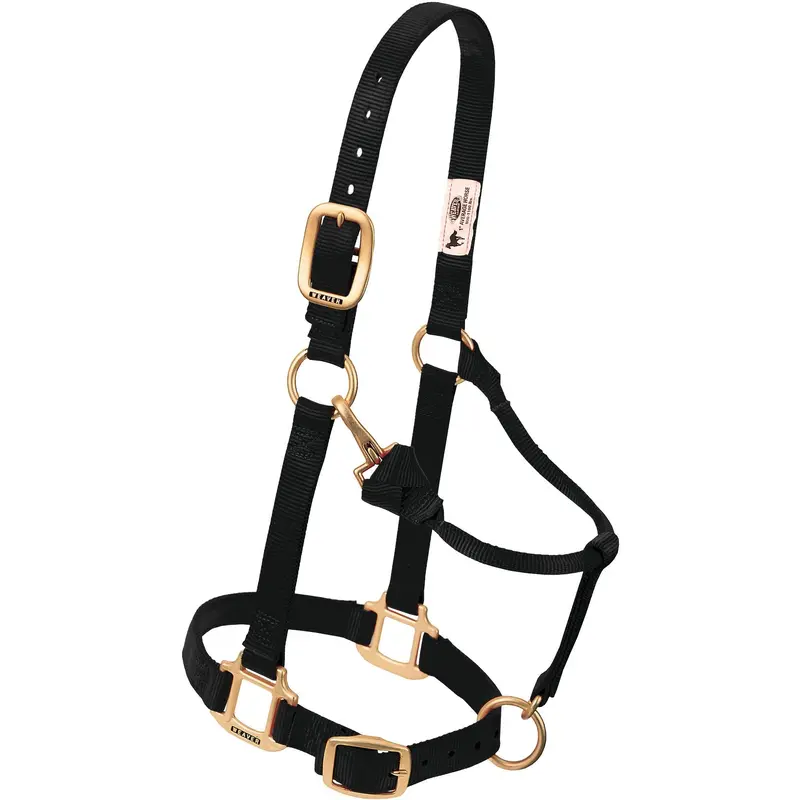 Weaver 1" Original Adjustable Nylon Halter-Yearling (Multiple Color Options) 1