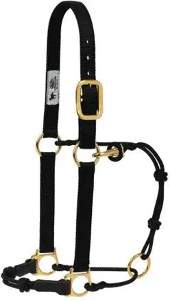 Weaver Average Horse Horseman's Halter (Multiple Color Options) 1