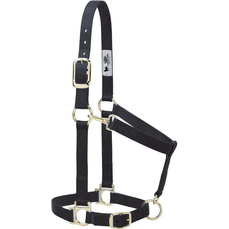 Weaver Basic Adjustable Nylon Halter, 1" Small Horse (Multiple Color Options) 1