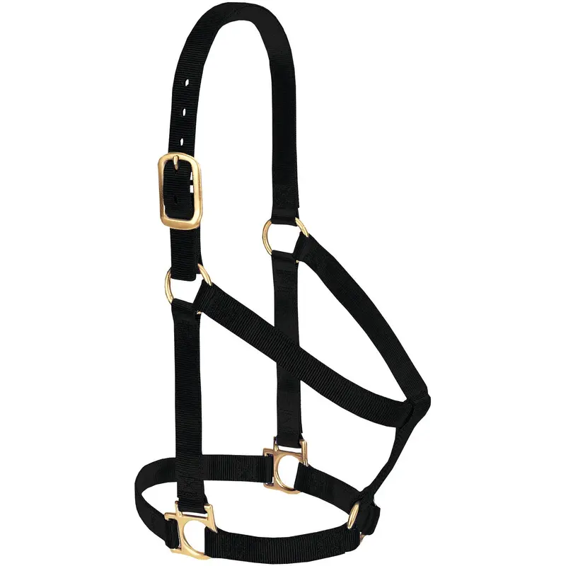 Weaver Basic Non-Adjustable Nylon Halter, 1" Average Horse (Multiple Color Options) 1