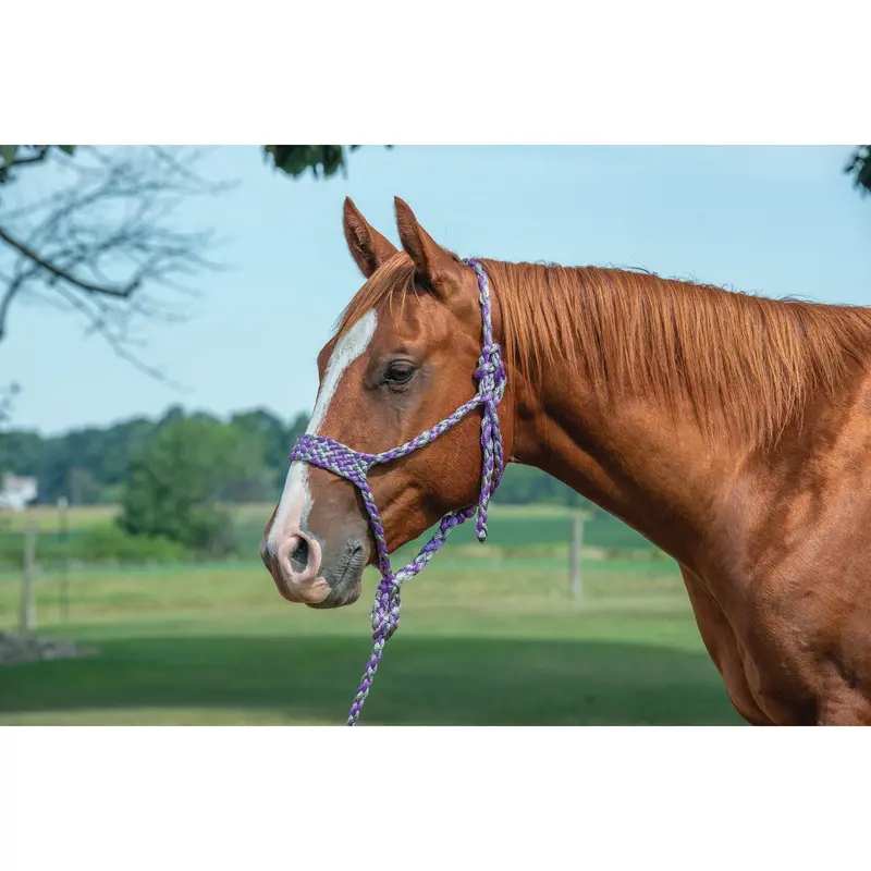 Weaver Braided Rope Halter With 10' Lead (Multiple Color Options) 1
