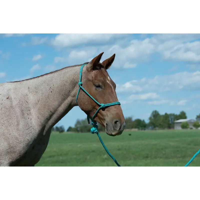 Weaver Diamond Braid Rope Halter And Lead (Multiple Color Options) 1