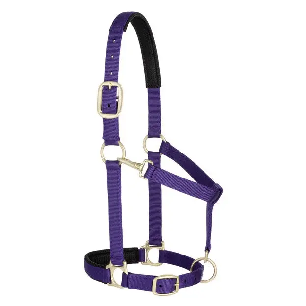Weaver Leather Average Padded Adjustable Snap Halter (Multiple Color Options) 4