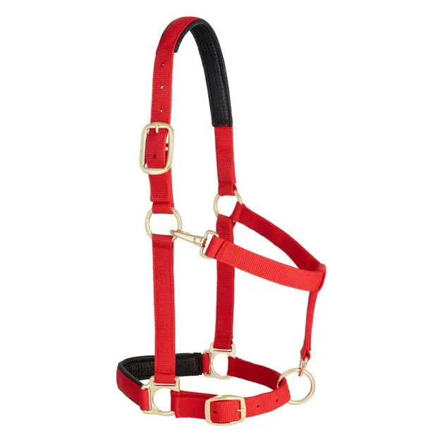 Weaver Leather Average Padded Adjustable Snap Halter (Multiple Color Options) 4