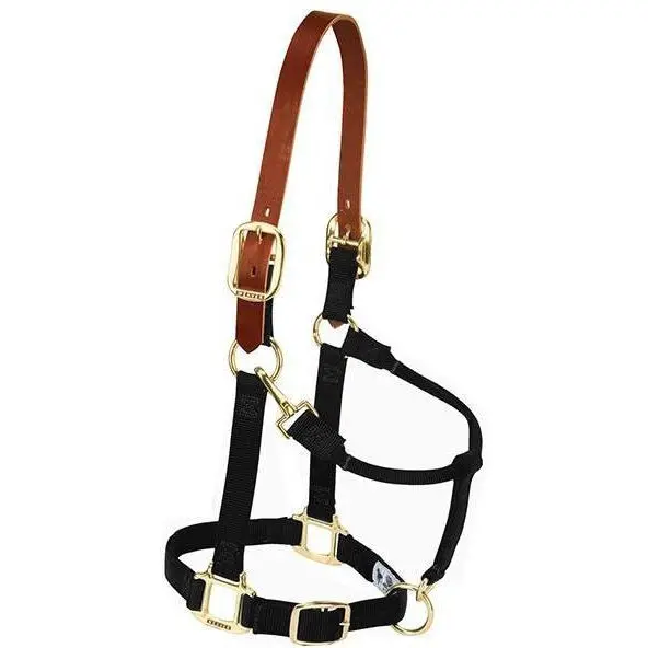 Weaver Leather Breakaway Original Adjustable Chin And Throat Snap Halter, 1" Yearling Horse 1