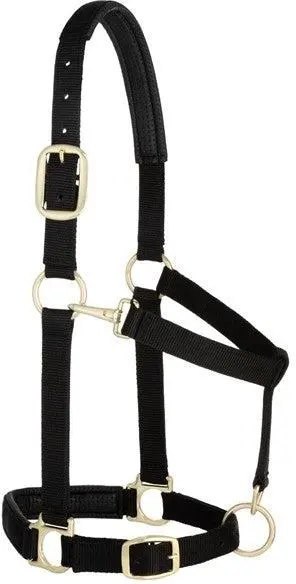 Weaver Leather Large Padded Adjustable Snap Halter (Multiple Color Options) 1