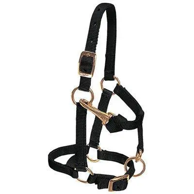 Weaver Leather Miniature Horse Adjustable Chin And Throat Snap Halter, 5/8" Average 1