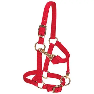 Weaver Leather Miniature Horse Adjustable Chin And Throat Snap Halter, 5/8" Average 4