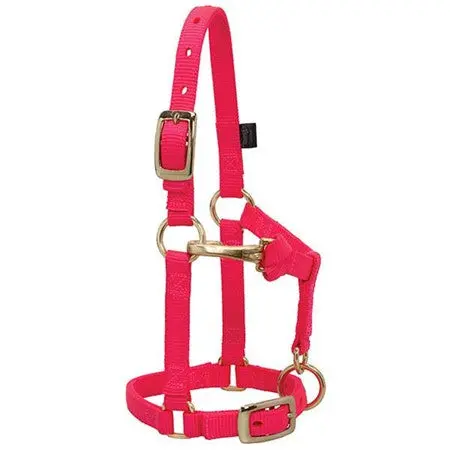 Weaver Leather Miniature Horse Adjustable Chin And Throat Snap Halter, 5/8" Average 5