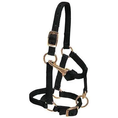 Weaver Leather Miniature Horse Adjustable Chin And Throat Snap Halter, 5/8" Large 1