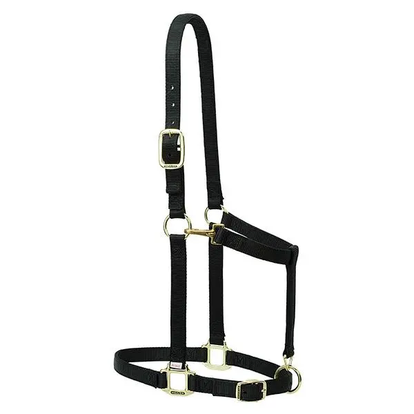 Weaver Leather Nylon Adjustable Draft Horse Halter, 1", Average 1