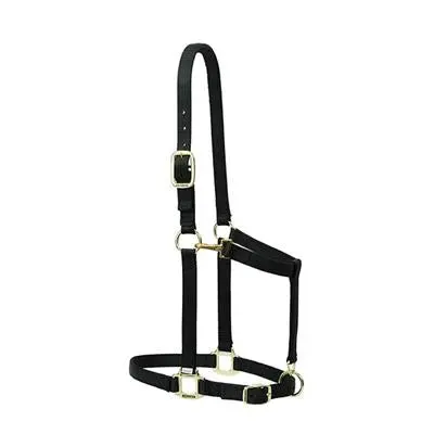 Weaver Leather Nylon Adjustable Large Draft Horse Halter, 1" 1