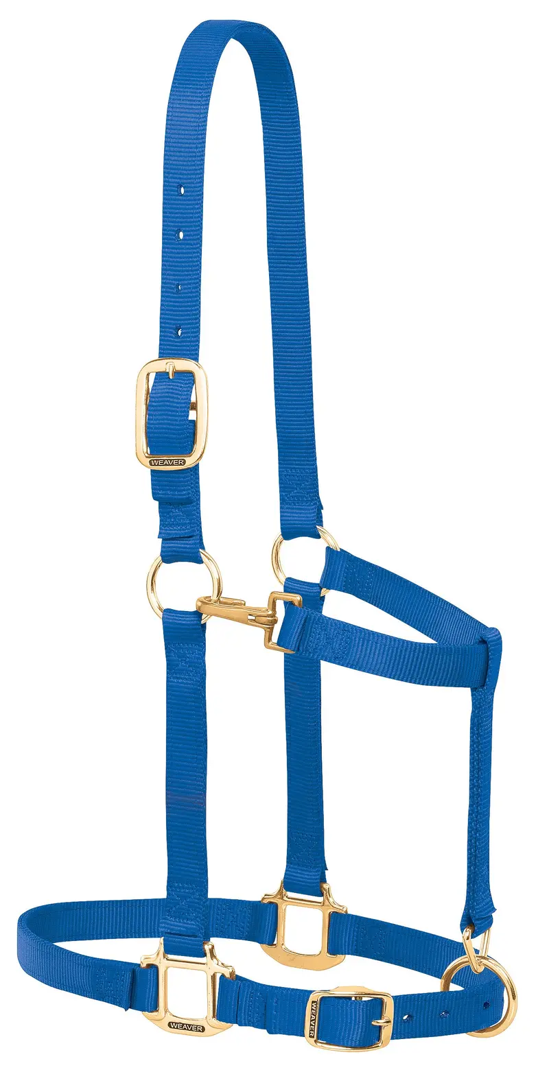 Weaver Leather Nylon Adjustable Large Draft Horse Halter, 1" 3