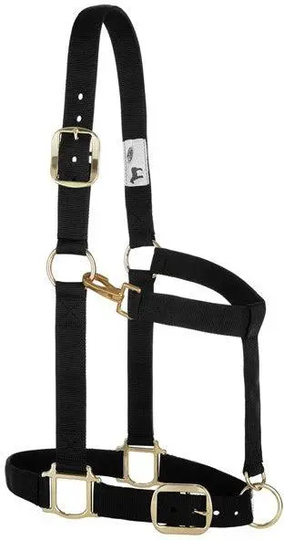 Weaver Leather Original Adjustable Average 1 1/2 Inch Draft Halter 1