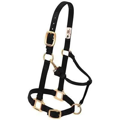 Weaver Leather Original Adjustable Chin And Throat Snap Halter, 1" Large Horse Or 2-Year-Old Draft 1
