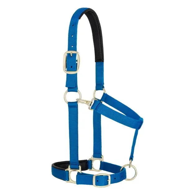 Weaver Leather Small Padded Adjustable Snap Halter (Multiple Color Options) 2