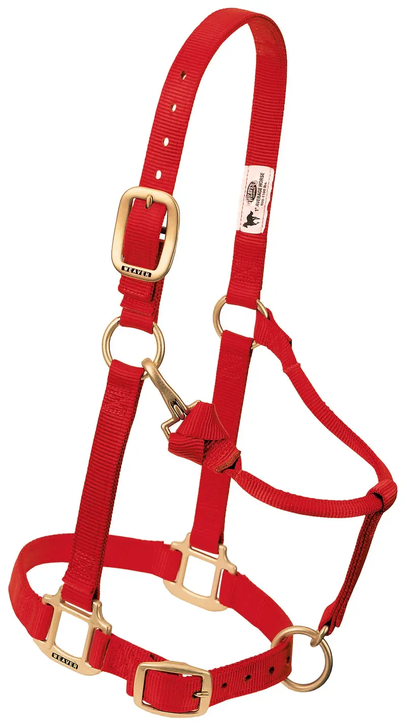 Weaver Original Adjustable Nylon Halter-Weanling/Pony 10