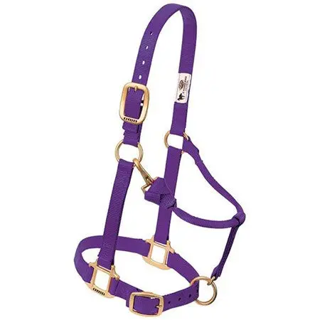 Weaver Original Adjustable Nylon Halter-Weanling/Pony 12