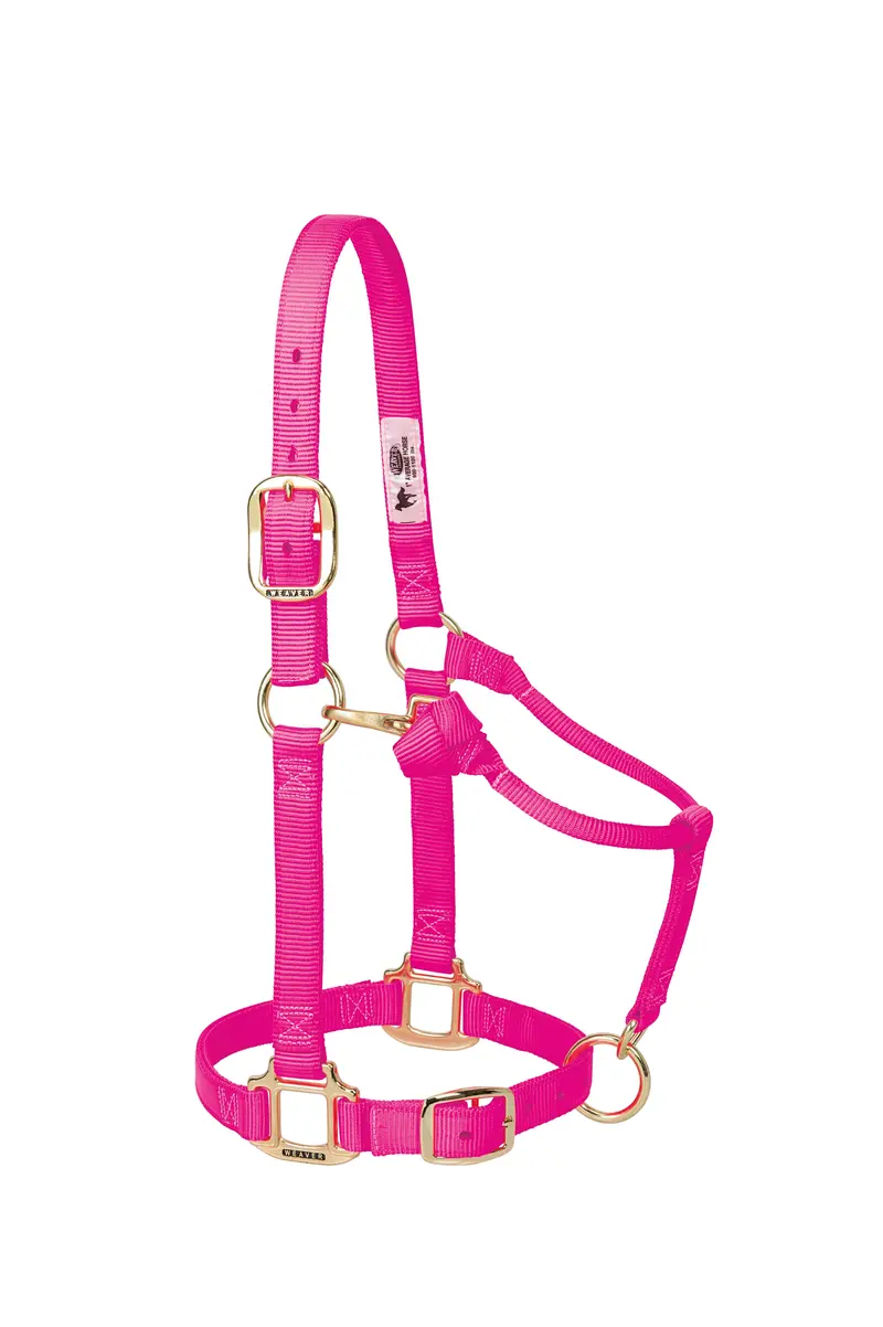 Weaver Original Adjustable Nylon Halter-Weanling/Pony 3
