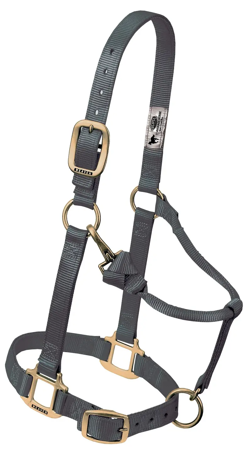 Weaver Original Adjustable Nylon Halter-Weanling/Pony 5