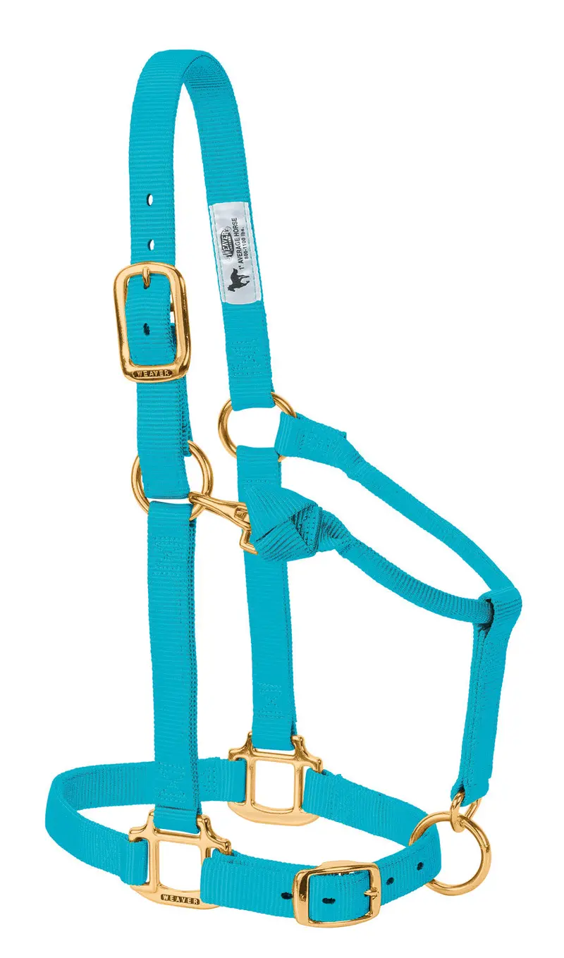 Weaver Original Adjustable Nylon Halter-Weanling/Pony 9