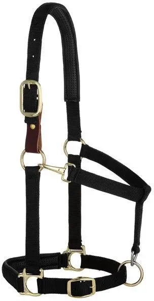 Weaver Padded Breakaway Adjustable Chin And Throat Snap Halter 1
