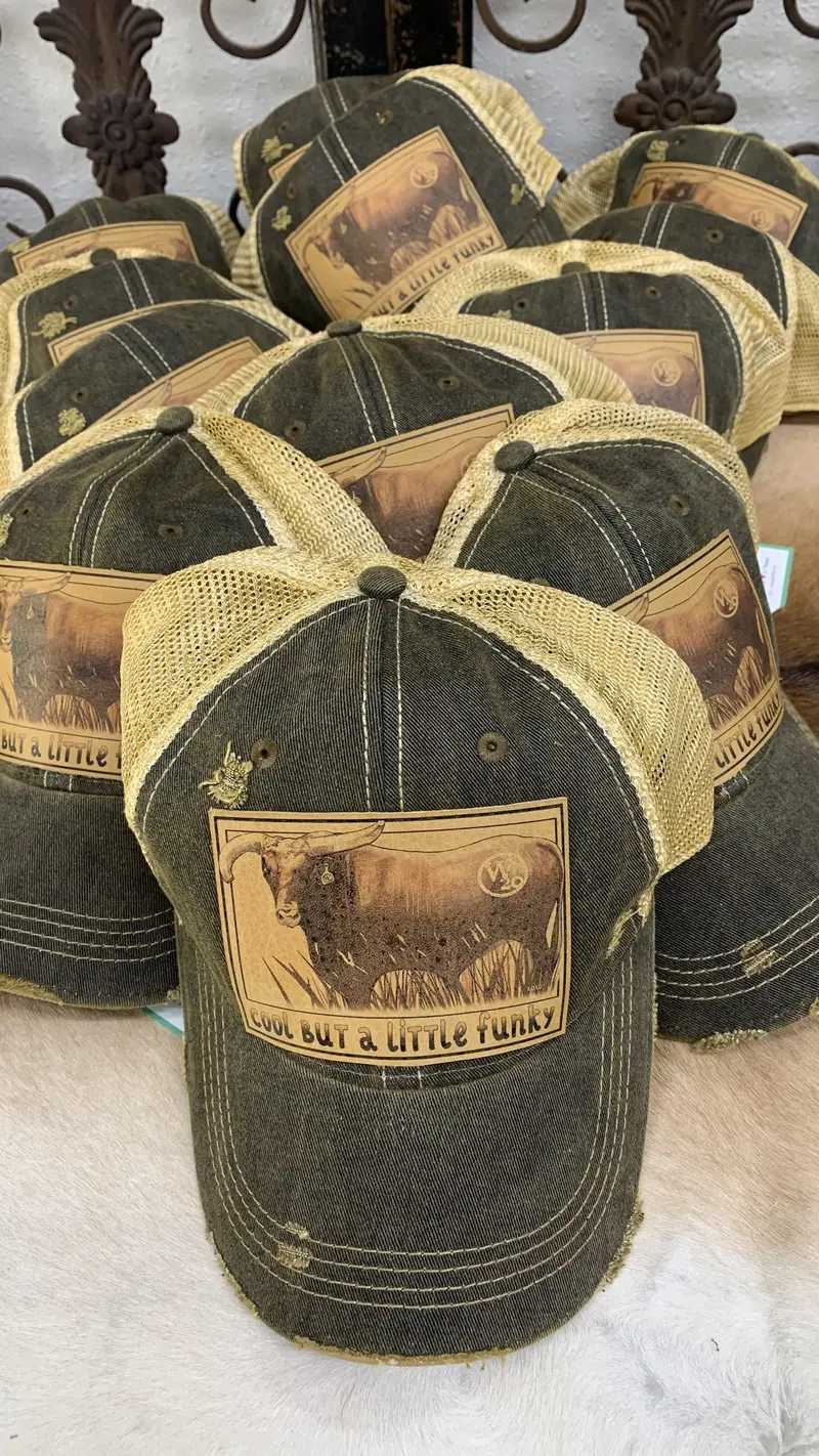 West 20 Vintage Distressed Cool But A Little Funky Ball Cap 1