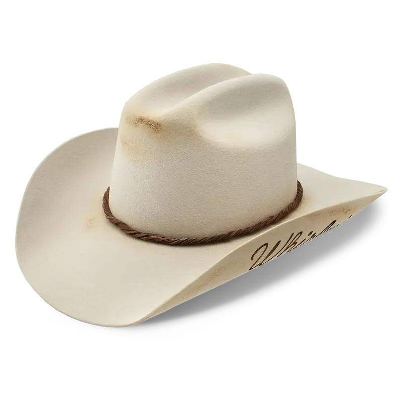 Whirlwind Western Hat 1