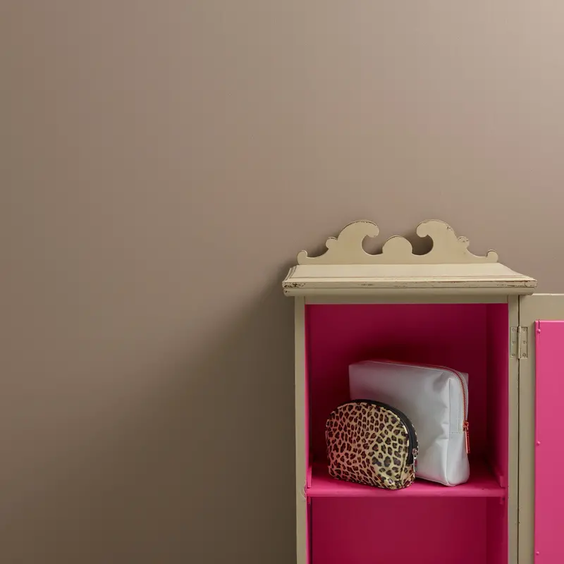 Wholly Moley Trim Paint 2